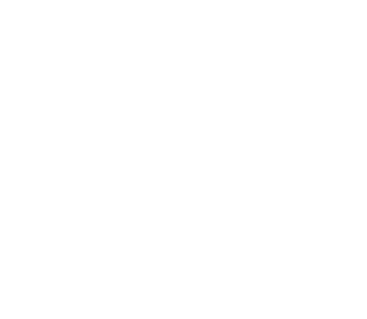 REACH Compliant